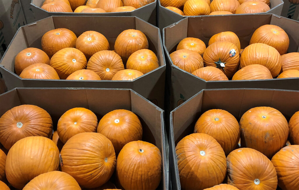 Pumpkin bins